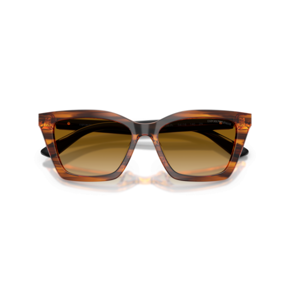 Emporio Armani EA 4250U 62682L Güneş Gözlüğü