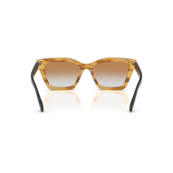 Emporio Armani EA 4250U 62692Q Güneş Gözlüğü