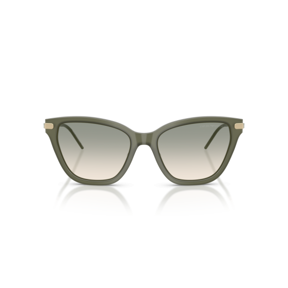 Emporio Armani EA 4251 62642C Güneş Gözlüğü