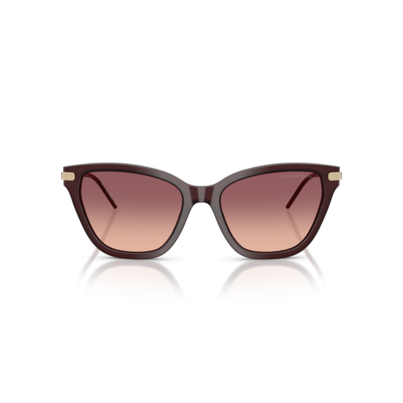 Emporio Armani EA 4251 62658D Güneş Gözlüğü