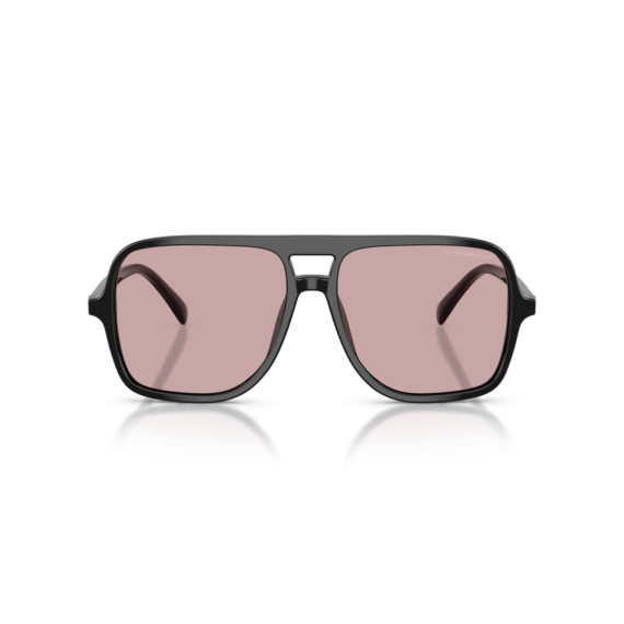 Emporio Armani EA 4252U 501773 Güneş Gözlüğü