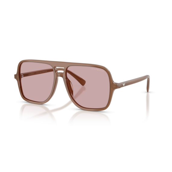 Emporio Armani EA 4252U 627173 Güneş Gözlüğü