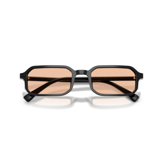 Emporio Armani EA 4253U 501793 Güneş Gözlüğü