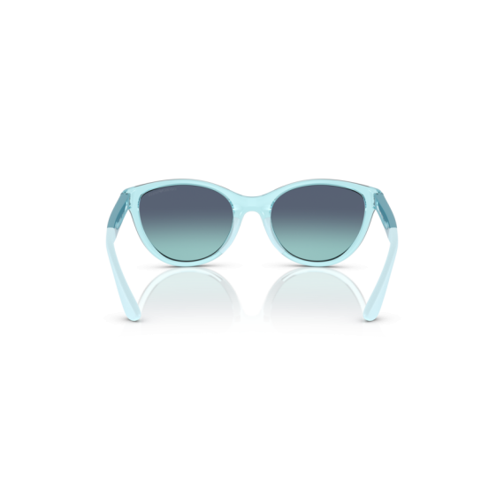 Emporio Armani Kids EK 4003 53584S Güneş Gözlüğü