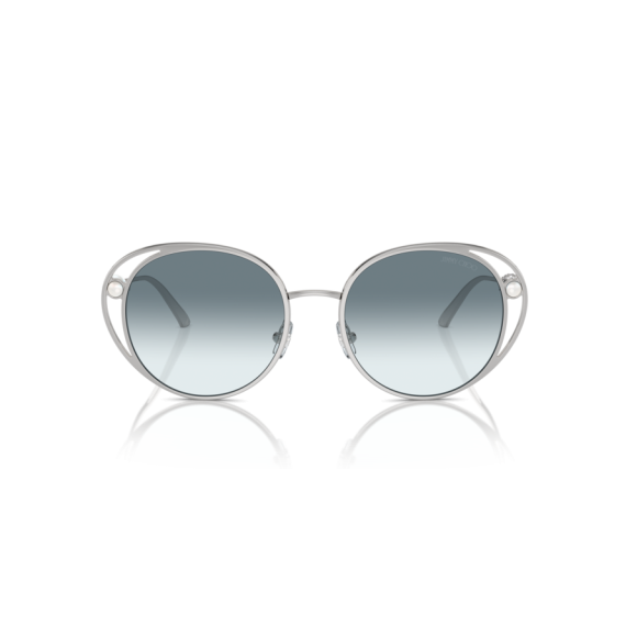 Jimmy Choo JC 4003HB 300219 Güneş Gözlüğü