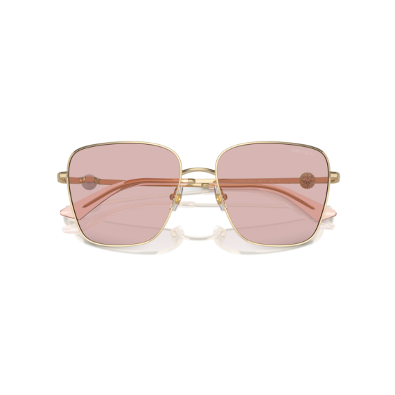 Jimmy Choo JC 4005HB 3006/5 Güneş Gözlüğü