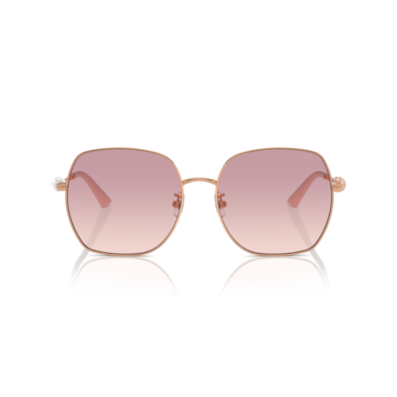 Jimmy Choo JC 4008HD 300868 Güneş Gözlüğü