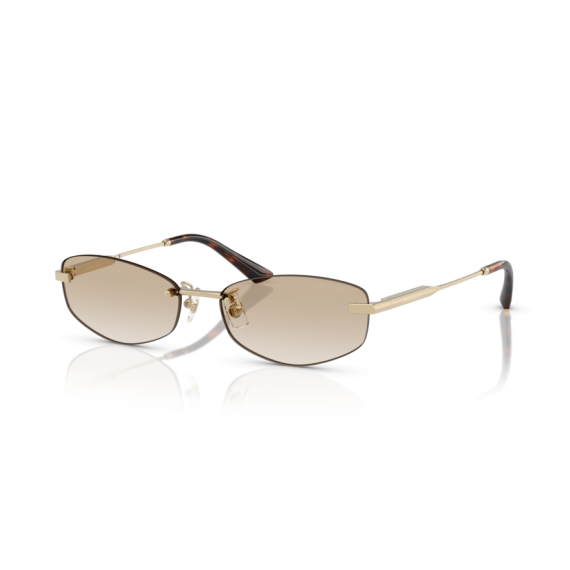 Jimmy Choo JC 4013D 300611 Güneş Gözlüğü