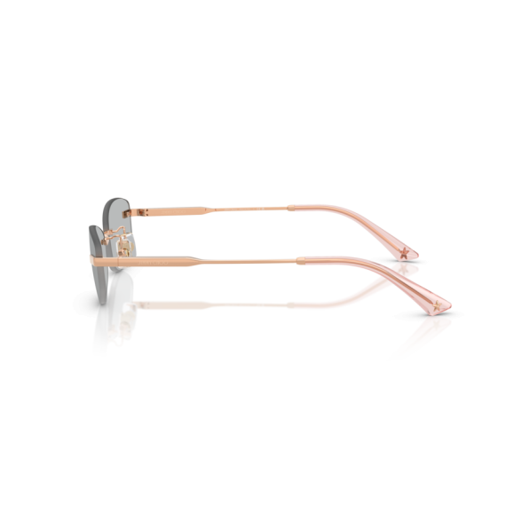 Jimmy Choo JC 4013D 300887 Güneş Gözlüğü
