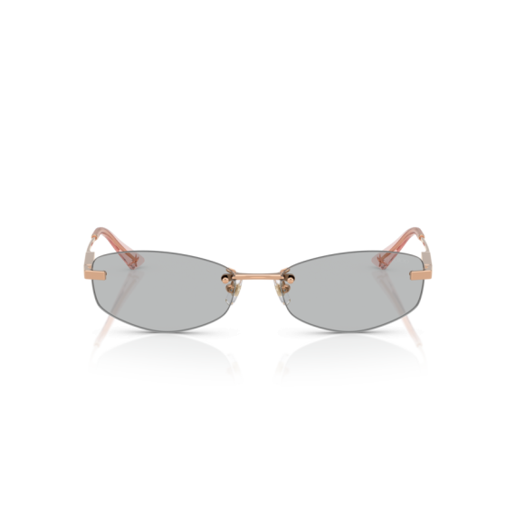Jimmy Choo JC 4013D 300887 Güneş Gözlüğü
