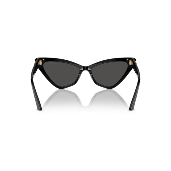 Jimmy Choo JC 5008 500087 Güneş Gözlüğü