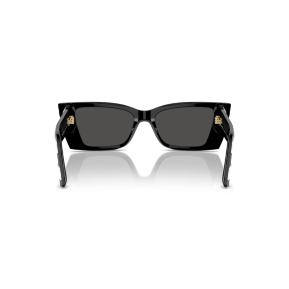 Jimmy Choo JC 5009 502987 Güneş Gözlüğü
