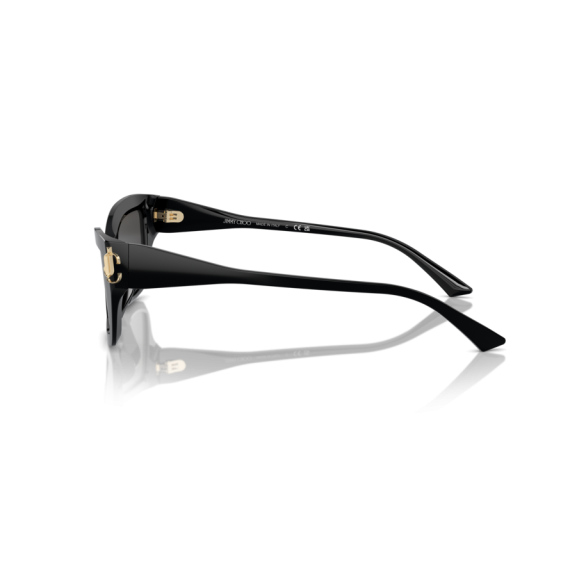 Jimmy Choo JC 5011U 500087 Güneş Gözlüğü