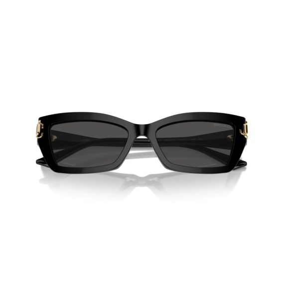 Jimmy Choo JC 5011U 500087 Güneş Gözlüğü