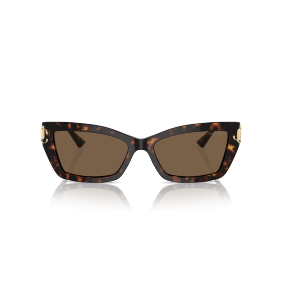 Jimmy Choo JC 5011U 500273 Güneş Gözlüğü