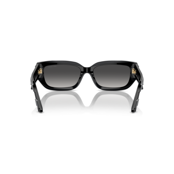 Jimmy Choo JC 5017 50008G Güneş Gözlüğü