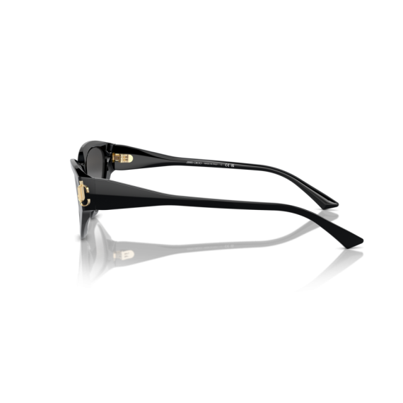 Jimmy Choo JC 5019 50008G Güneş Gözlüğü