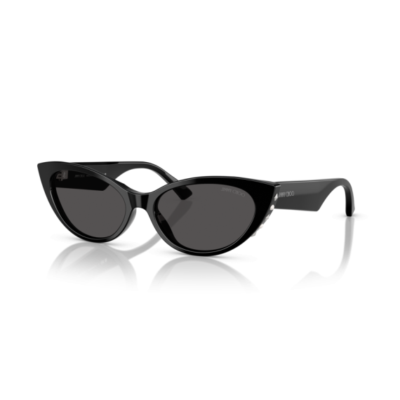 Jimmy Choo JC 5023H 500087 Güneş Gözlüğü