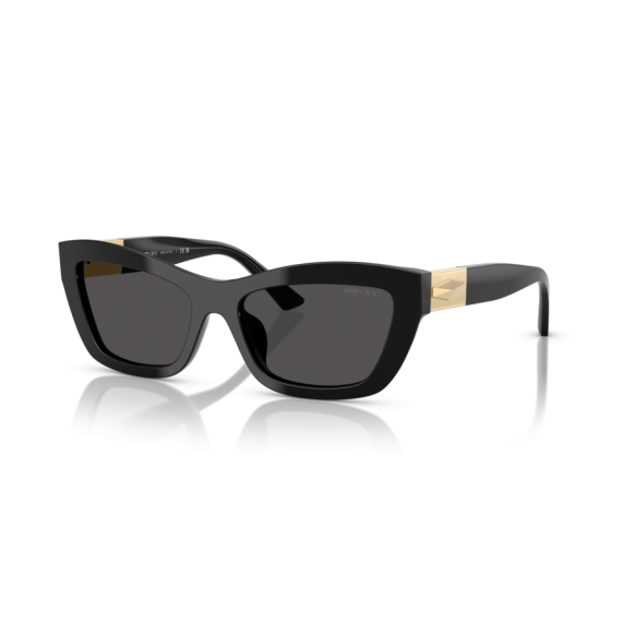Jimmy Choo JC 5030U 500087 Güneş Gözlüğü