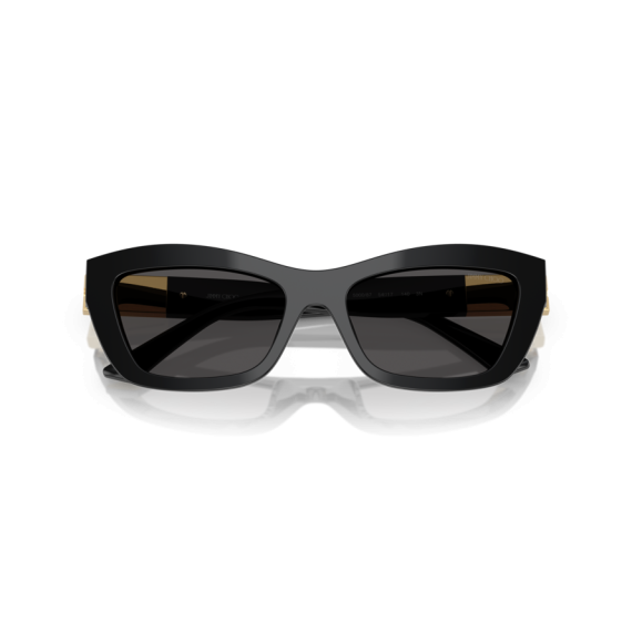 Jimmy Choo JC 5030U 500087 Güneş Gözlüğü