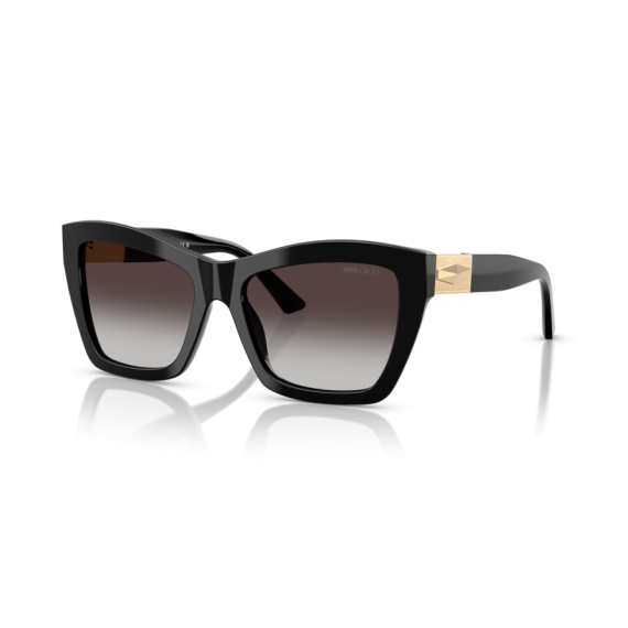 Jimmy Choo JC 5031 50008G Güneş Gözlüğü