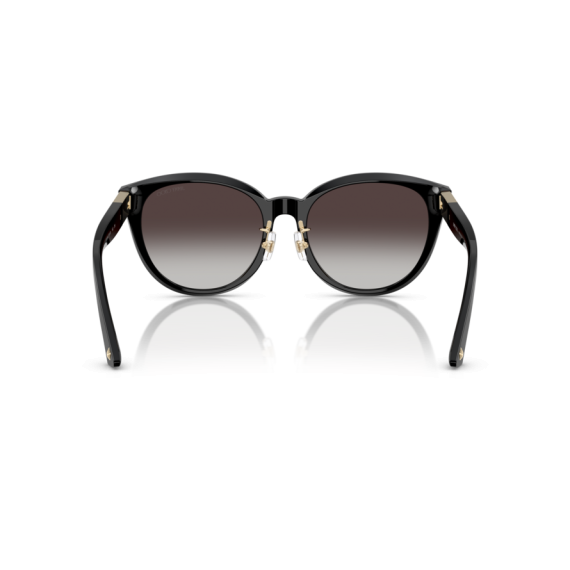 Jimmy Choo JC 5032D 500086 Güneş Gözlüğü