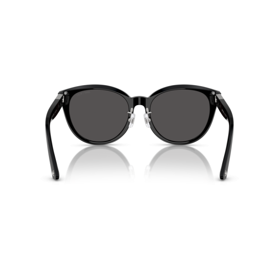 Jimmy Choo JC 5032D 500087 Güneş Gözlüğü