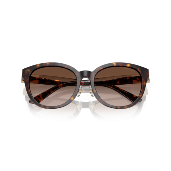 Jimmy Choo JC 5032D 50028G Güneş Gözlüğü