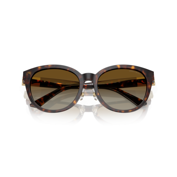 Jimmy Choo JC 5032D 5002T5 Güneş Gözlüğü