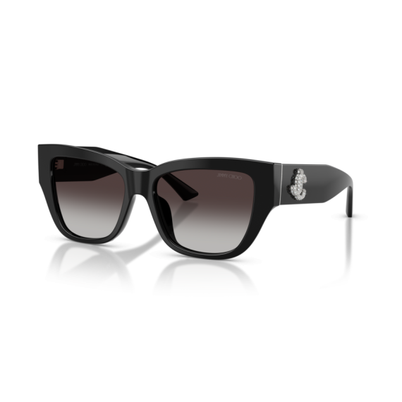 Jimmy Choo JC 5039BU 50008G Güneş Gözlüğü