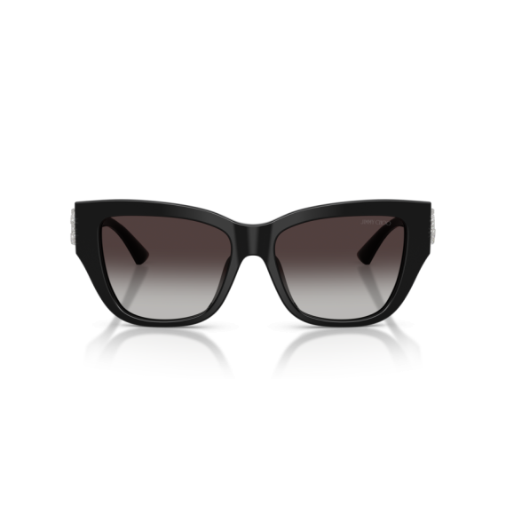 Jimmy Choo JC 5039BU 50008G Güneş Gözlüğü