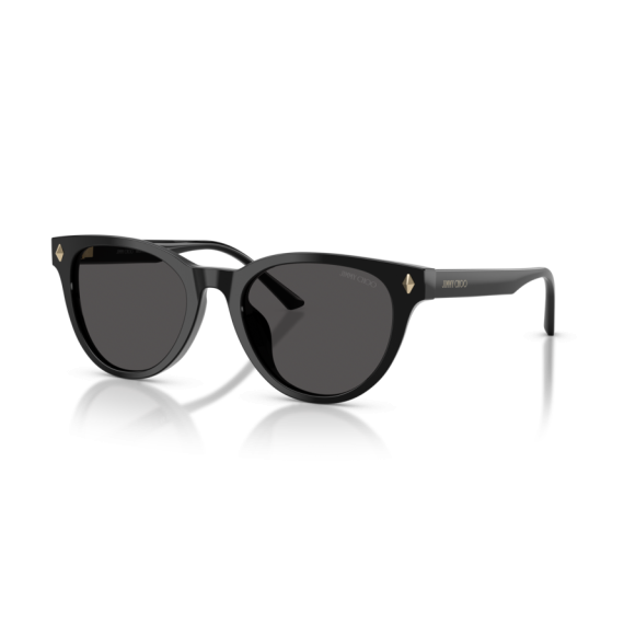 Jimmy Choo JC 5043D 500087 Güneş Gözlüğü