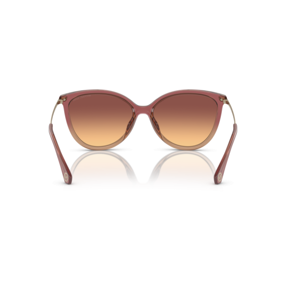 Michael Kors MK 2184U 325678 Güneş Gözlüğü, Ekartman: 56