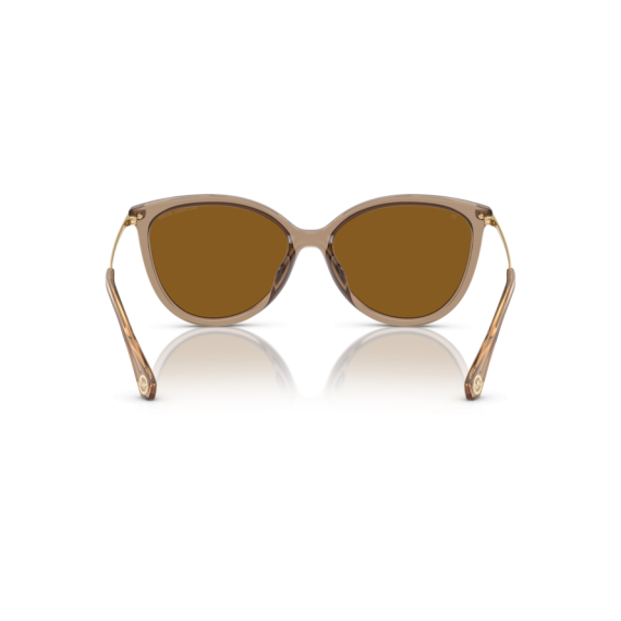 Michael Kors MK 2184U 3938T5 Güneş Gözlüğü