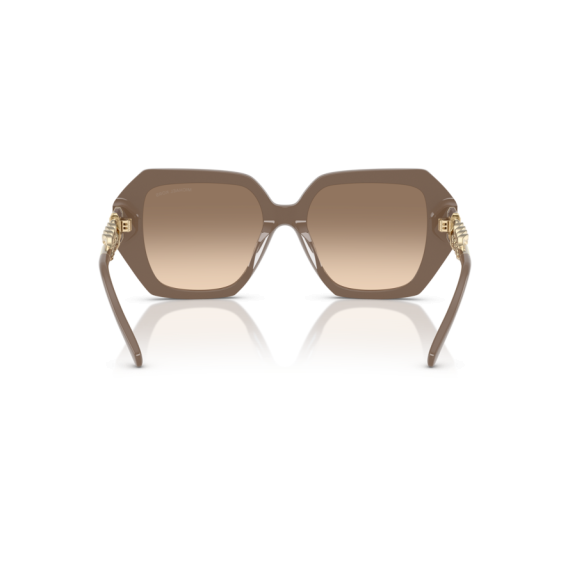 Michael Kors MK 2232U 400313 Güneş Gözlüğü