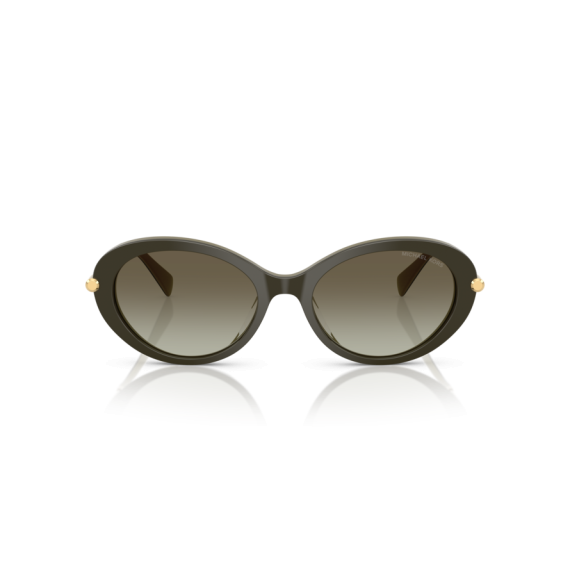 Michael Kors MK 2245U 40193M Güneş Gözlüğü