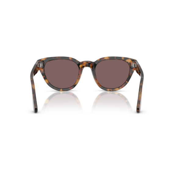 Persol PO 3379S 105253 Güneş Gözlüğü, Ekartman: 51