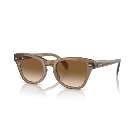 Ray-Ban RB 0707S 664051 Güneş Gözlüğü, Ekartman: 53