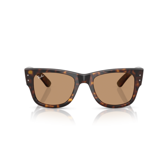 Ray-Ban RB 0840S 902/53 Güneş Gözlüğü