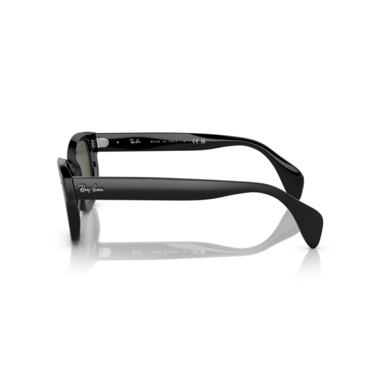 Ray-Ban RB 0880S 901/31 Güneş Gözlüğü