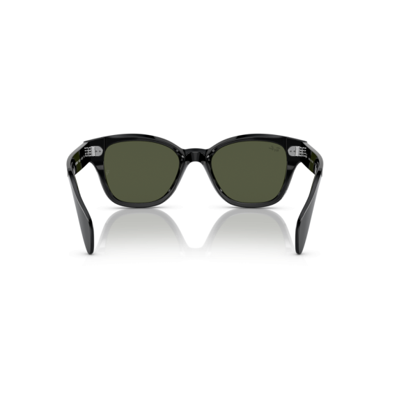 Ray-Ban RB 0880S 901/31 Güneş Gözlüğü