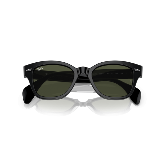 Ray-Ban RB 0880S 901/31 Güneş Gözlüğü