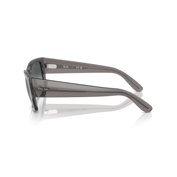 Ray-Ban RB 0947S 667571 Güneş Gözlüğü