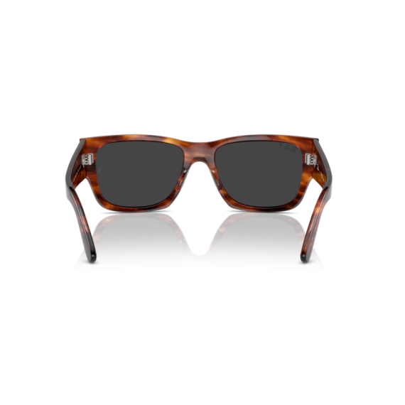 Ray-Ban RB 0947S 954/48 Güneş Gözlüğü