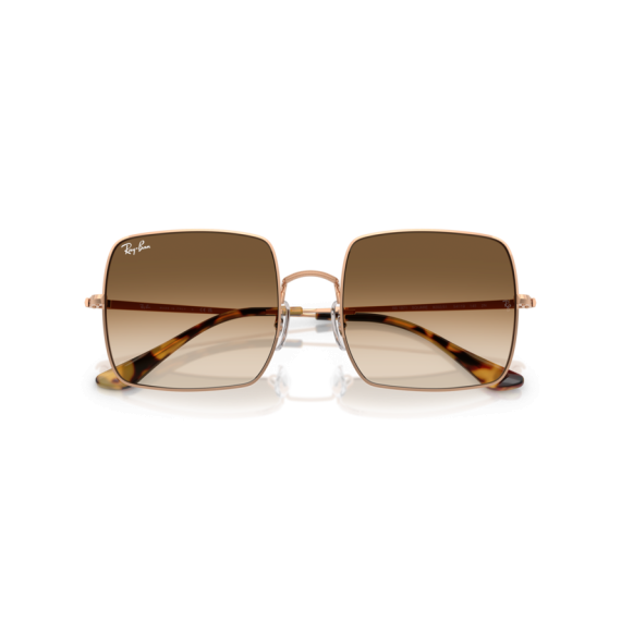 Ray-Ban RB 1971 920251 Güneş Gözlüğü