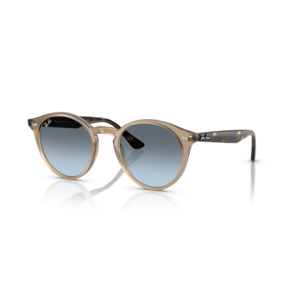Ray-Ban RB 2180 6788V1 Güneş Gözlüğü, Ekartman: 51