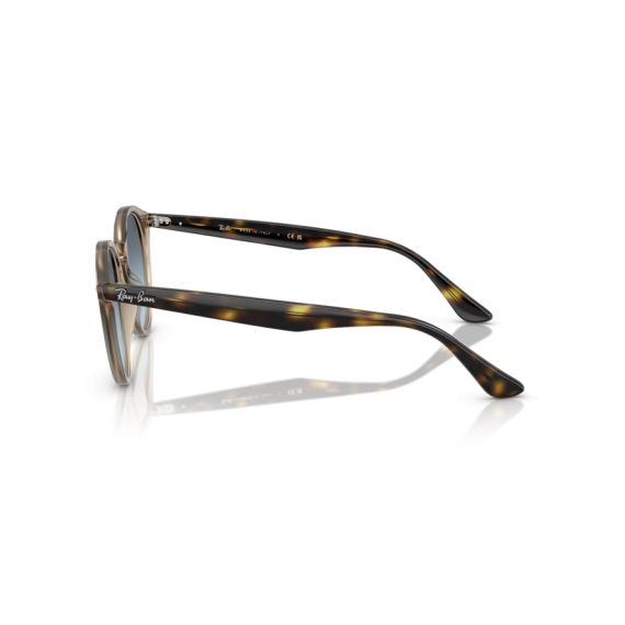 Ray-Ban RB 2180 6788V1 Güneş Gözlüğü, Ekartman: 51