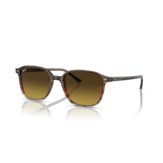 Ray-Ban RB 2193 138085 Güneş Gözlüğü