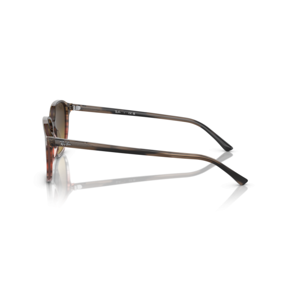 Ray-Ban RB 2193 138085 Güneş Gözlüğü