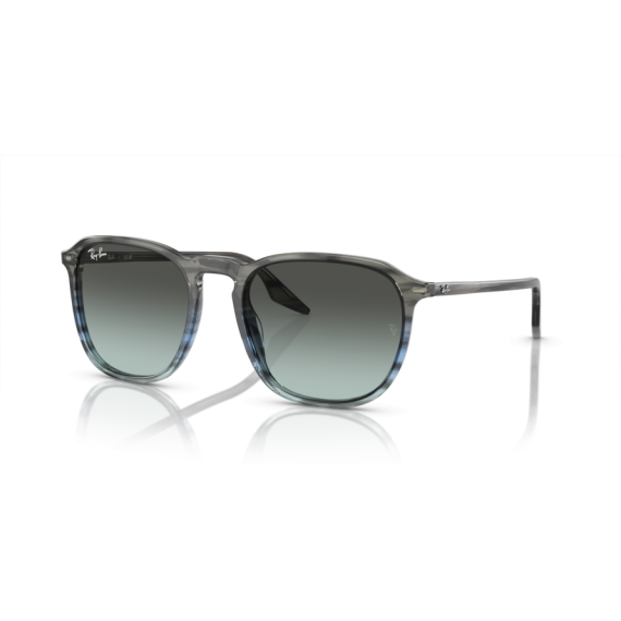 Ray-Ban RB 2203 1391GK Güneş Gözlüğü, Ekartman: 52